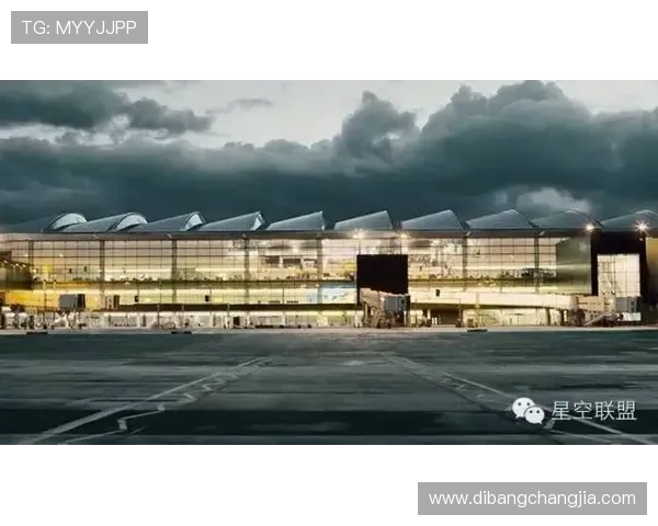 澳门黄金国际首页：汇聚全球玩家的娱乐中心与平台