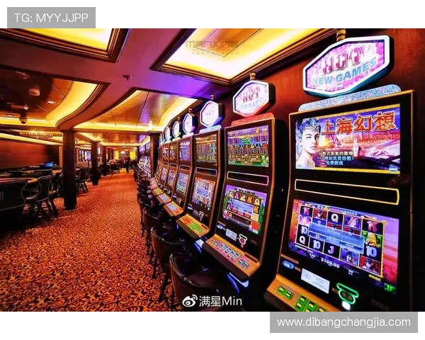 兰桂坊角子机娱乐场：专业角子机娱乐场所带来的极致体验