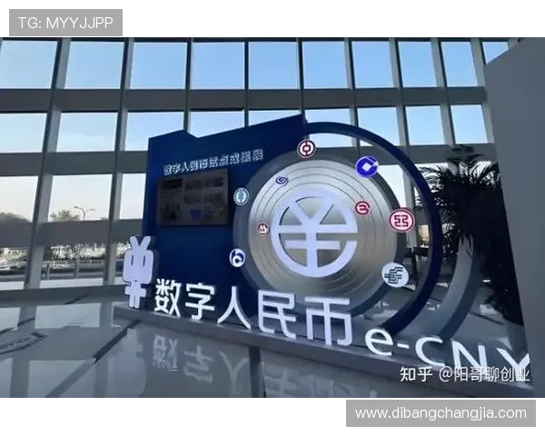 新濠国际集团在国际化进程中面临的挑战与应对措施详解