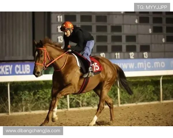 2024年澳门赛马比赛具体举行日期及赛程安排，全面解析赛季时间节点与重要赛事