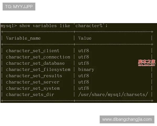 gd真人会员登录流程详解，解决常见登录问题的实用技巧