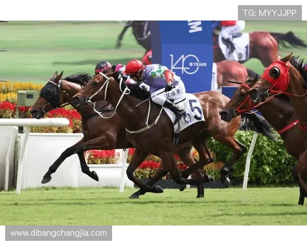 在hkjc官方网站上学习赛马知识和投注技巧，提升整体投注水平