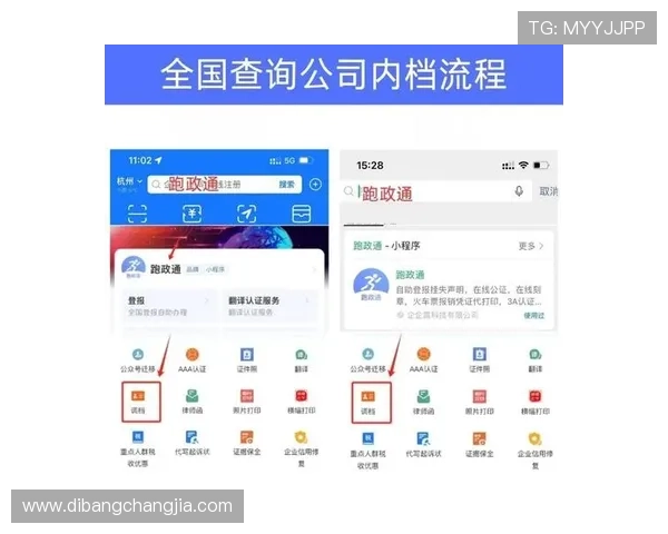 新濠博亚企查查平台使用教程及企业信息查询的实用技巧