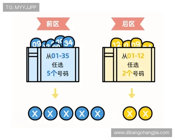 天博真人体育赛事直播与投注指南，掌握最新动态提升你的赢面
