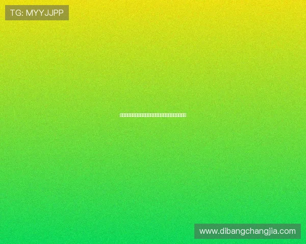 摩洛哥对巴西比赛数据对比分析助你深入了解两队实力差距