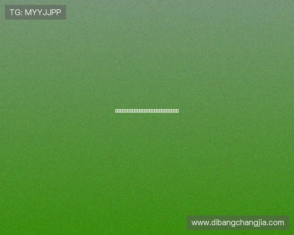 校徽体育会关注世界杯期间的安全保障措施与赛事组织情况 校徽体育会关注世界杯期间的安全保障措施与赛事组织情况